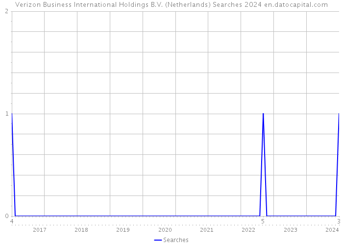 Verizon Business International Holdings B.V. (Netherlands) Searches 2024 