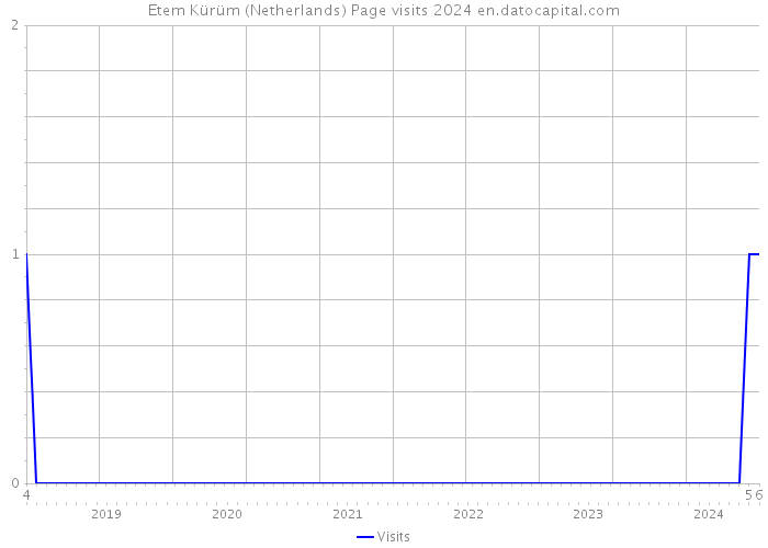 Etem Kürüm (Netherlands) Page visits 2024 