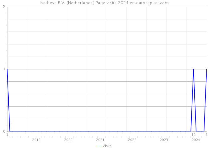Natheva B.V. (Netherlands) Page visits 2024 