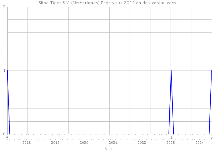 Blind Tiger B.V. (Netherlands) Page visits 2024 