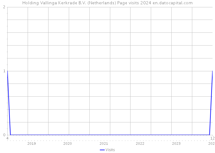 Holding Vallinga Kerkrade B.V. (Netherlands) Page visits 2024 