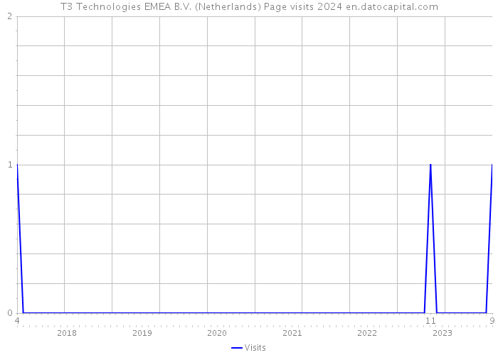 T3 Technologies EMEA B.V. (Netherlands) Page visits 2024 