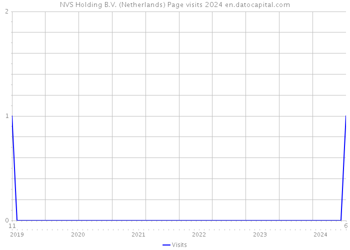 NVS Holding B.V. (Netherlands) Page visits 2024 