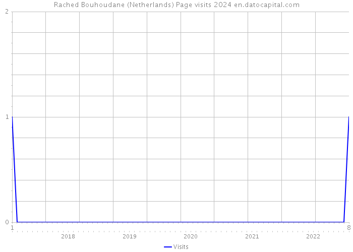 Rached Bouhoudane (Netherlands) Page visits 2024 