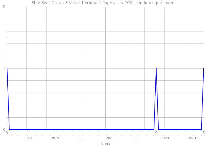 Blue Bear Group B.V. (Netherlands) Page visits 2024 