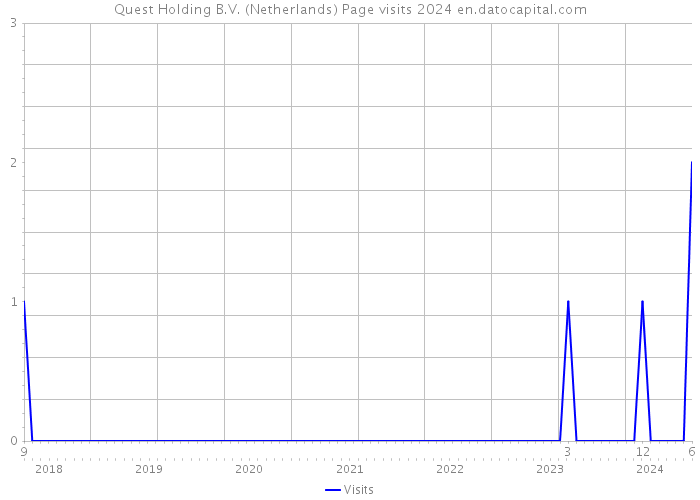 Quest Holding B.V. (Netherlands) Page visits 2024 