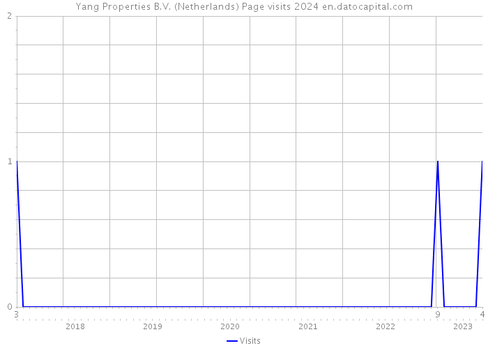 Yang Properties B.V. (Netherlands) Page visits 2024 