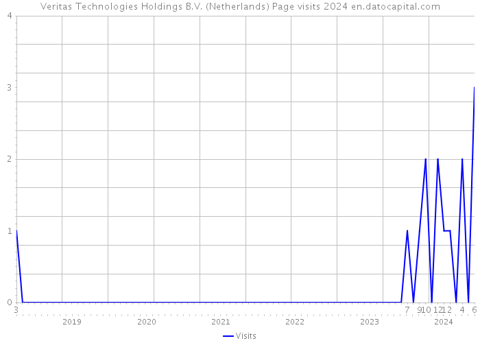Veritas Technologies Holdings B.V. (Netherlands) Page visits 2024 