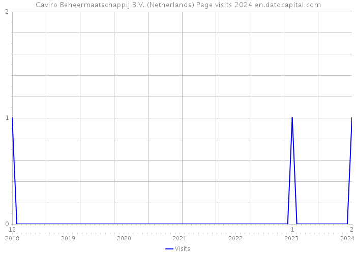 Caviro Beheermaatschappij B.V. (Netherlands) Page visits 2024 