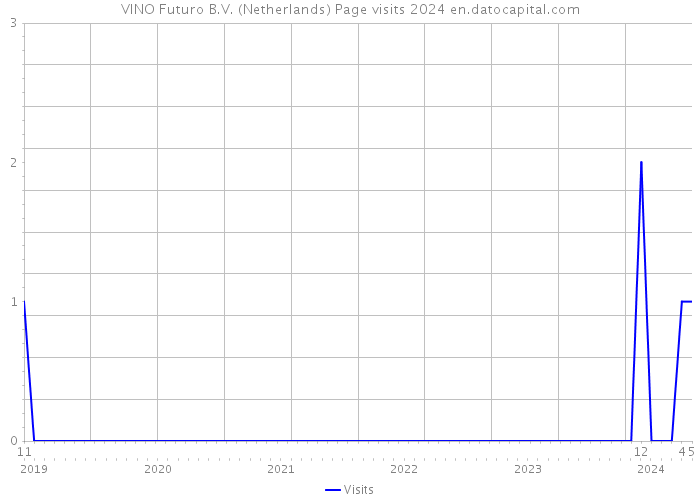 VINO Futuro B.V. (Netherlands) Page visits 2024 