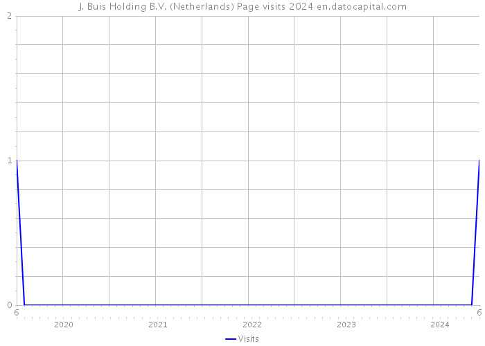 J. Buis Holding B.V. (Netherlands) Page visits 2024 
