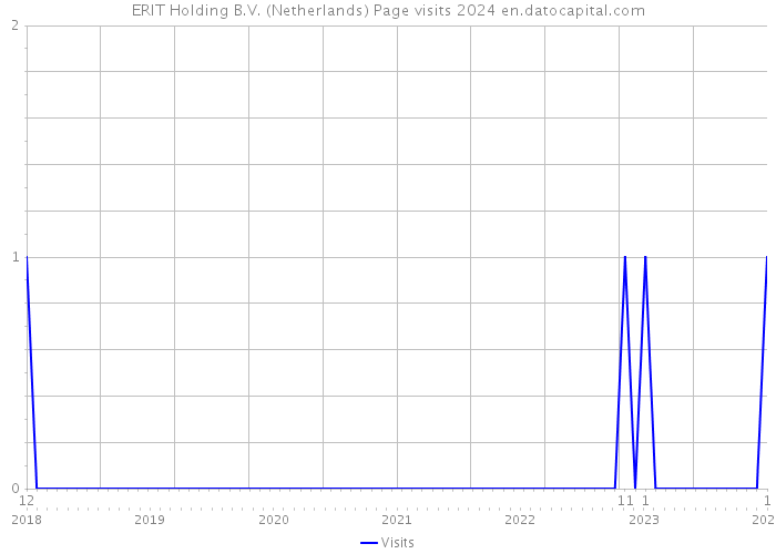 ERIT Holding B.V. (Netherlands) Page visits 2024 
