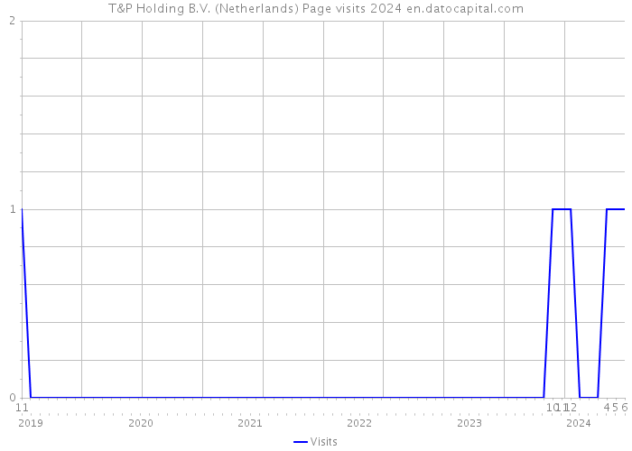 T&P Holding B.V. (Netherlands) Page visits 2024 