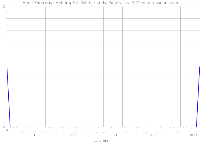 Hanif Enterprise Holding B.V. (Netherlands) Page visits 2024 