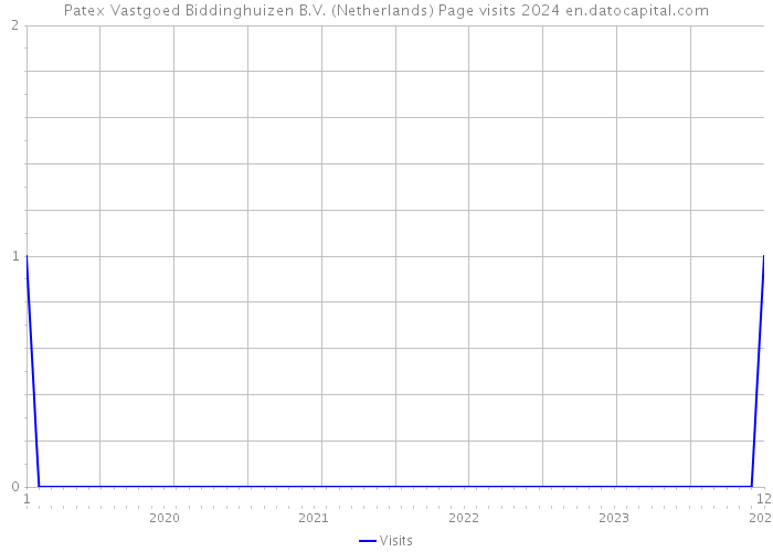 Patex Vastgoed Biddinghuizen B.V. (Netherlands) Page visits 2024 