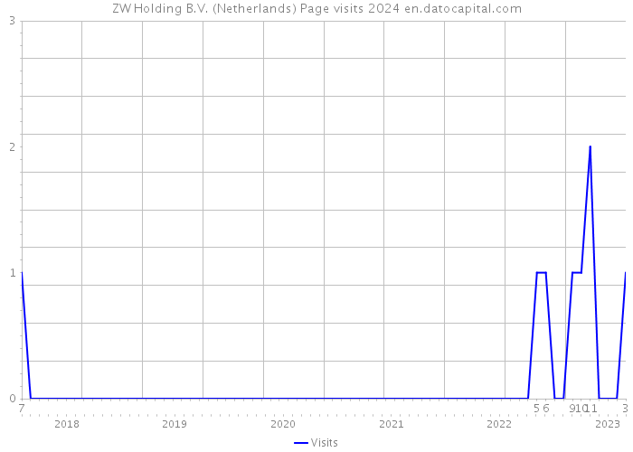 ZW Holding B.V. (Netherlands) Page visits 2024 