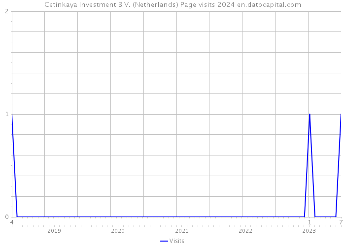 Cetinkaya Investment B.V. (Netherlands) Page visits 2024 