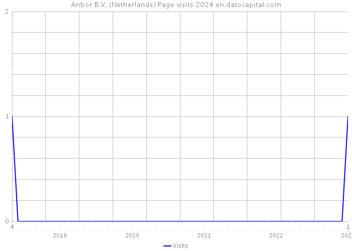 Anbor B.V. (Netherlands) Page visits 2024 