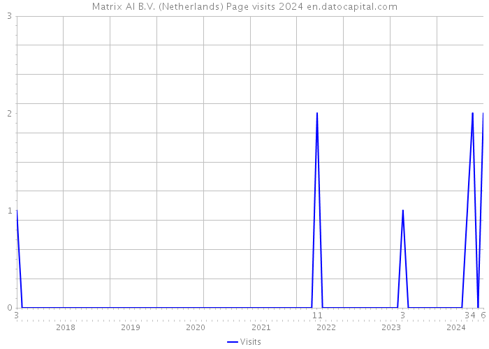 Matrix AI B.V. (Netherlands) Page visits 2024 