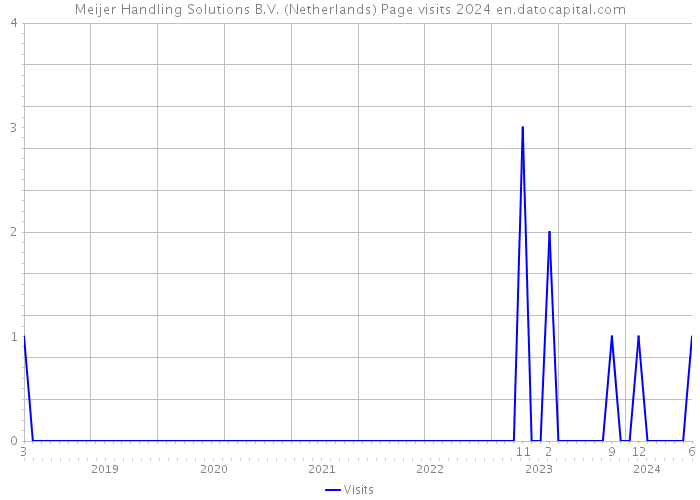 Meijer Handling Solutions B.V. (Netherlands) Page visits 2024 