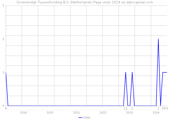 Groenendijk Tussenholding B.V. (Netherlands) Page visits 2024 