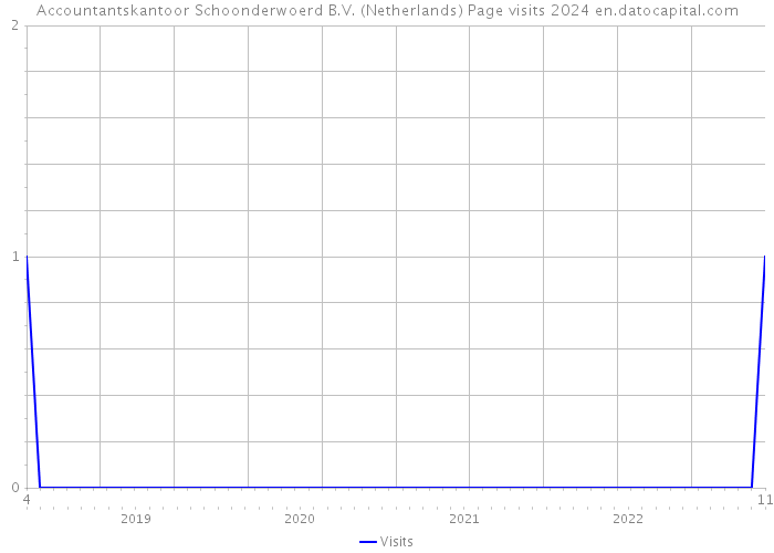 Accountantskantoor Schoonderwoerd B.V. (Netherlands) Page visits 2024 