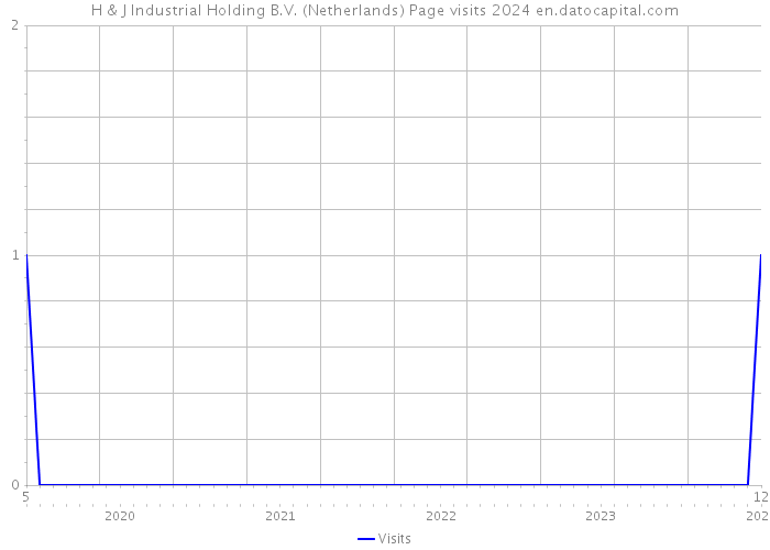 H & J Industrial Holding B.V. (Netherlands) Page visits 2024 