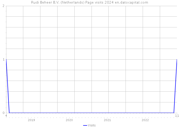Rudi Beheer B.V. (Netherlands) Page visits 2024 