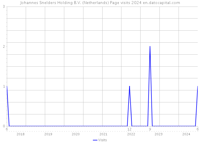 Johannes Snelders Holding B.V. (Netherlands) Page visits 2024 