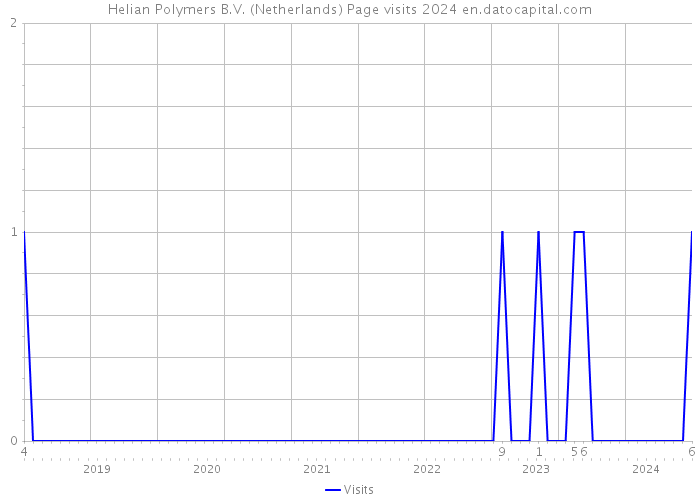 Helian Polymers B.V. (Netherlands) Page visits 2024 