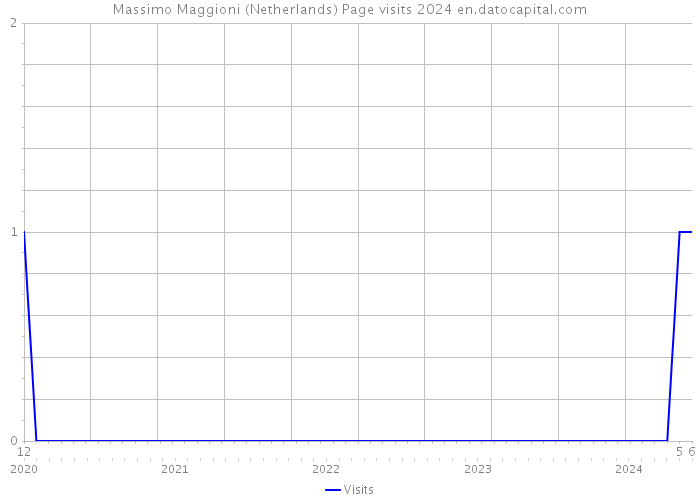 Massimo Maggioni (Netherlands) Page visits 2024 