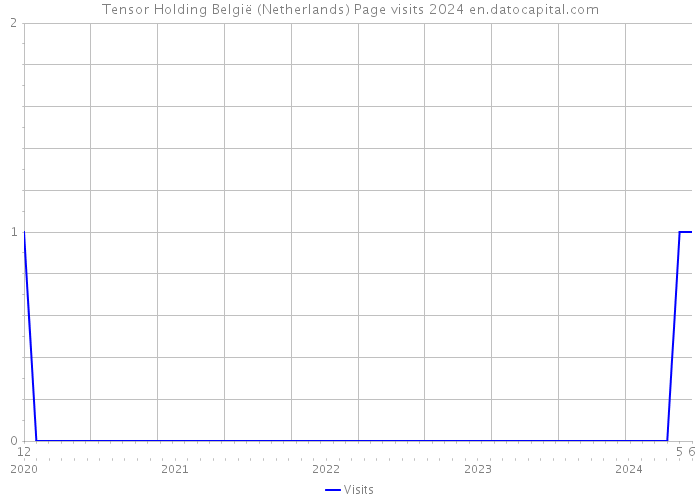 Tensor Holding België (Netherlands) Page visits 2024 