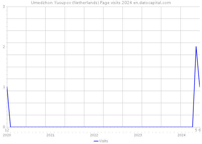 Umedzhon Yusupov (Netherlands) Page visits 2024 