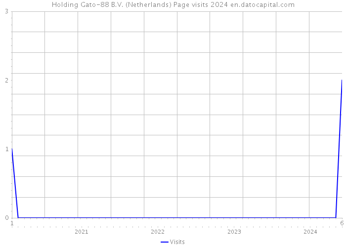 Holding Gato-88 B.V. (Netherlands) Page visits 2024 