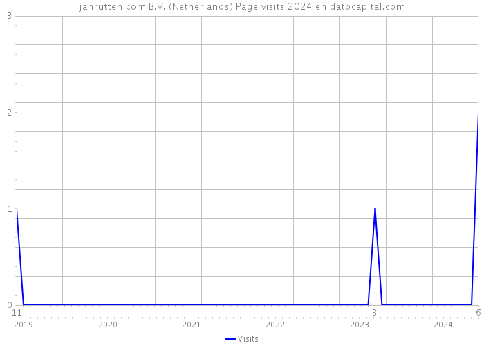 janrutten.com B.V. (Netherlands) Page visits 2024 