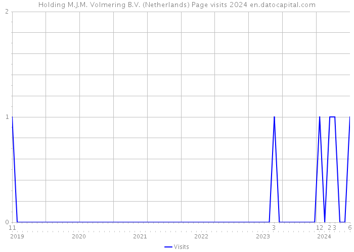 Holding M.J.M. Volmering B.V. (Netherlands) Page visits 2024 