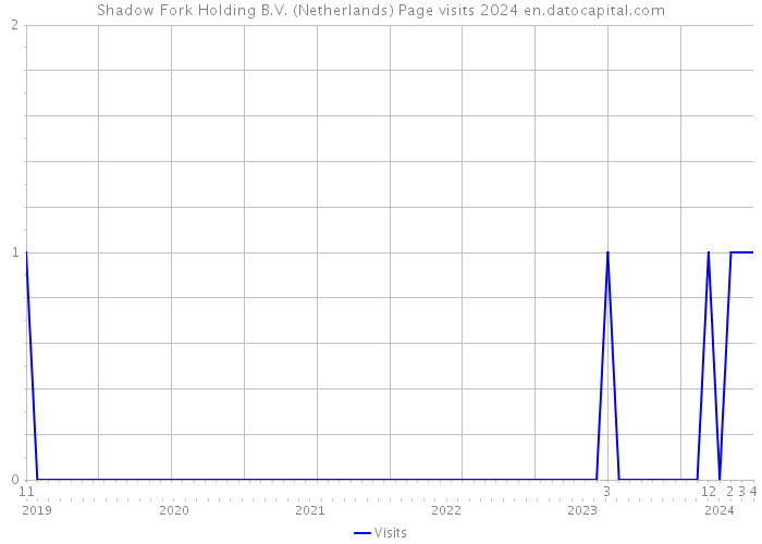 Shadow Fork Holding B.V. (Netherlands) Page visits 2024 