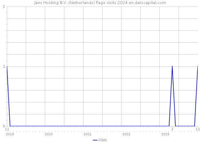 Jans Holding B.V. (Netherlands) Page visits 2024 