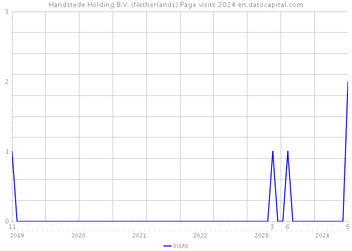 Handstede Holding B.V. (Netherlands) Page visits 2024 