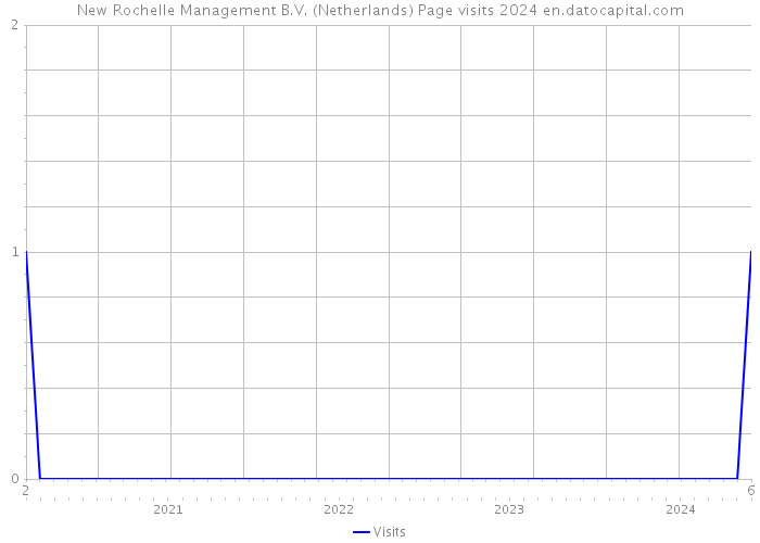 New Rochelle Management B.V. (Netherlands) Page visits 2024 
