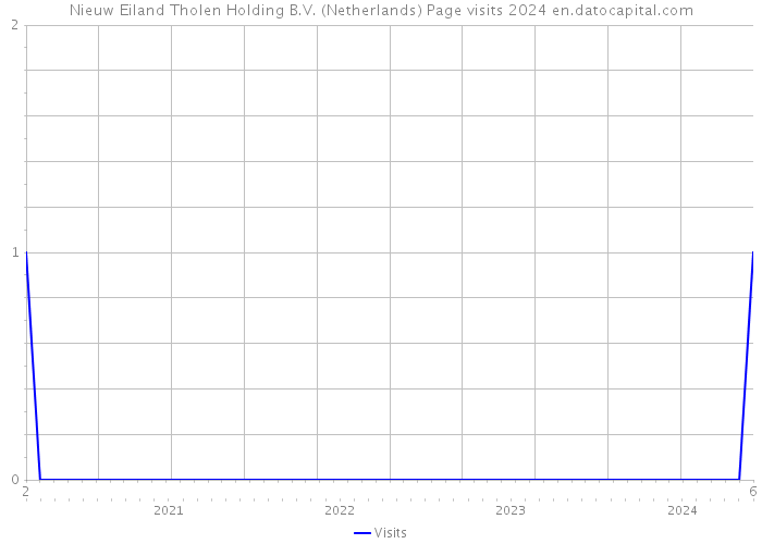 Nieuw Eiland Tholen Holding B.V. (Netherlands) Page visits 2024 