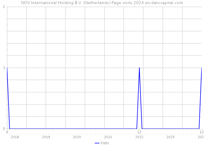 NOV International Holding B.V. (Netherlands) Page visits 2024 
