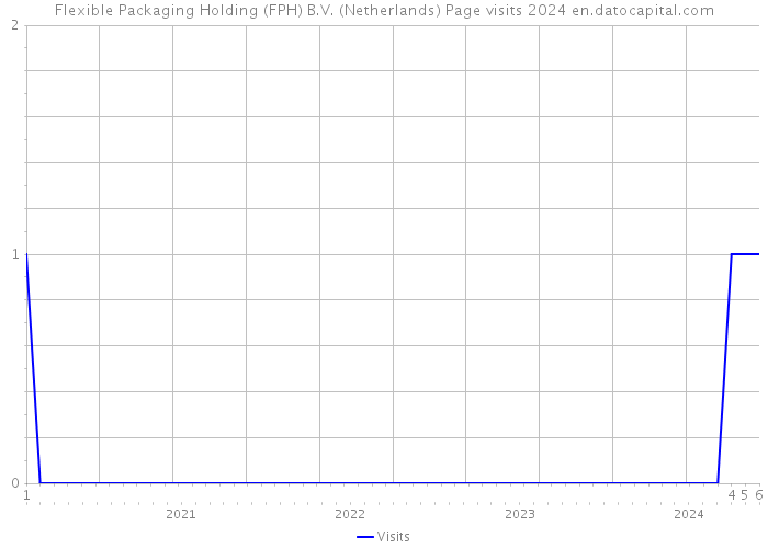 Flexible Packaging Holding (FPH) B.V. (Netherlands) Page visits 2024 
