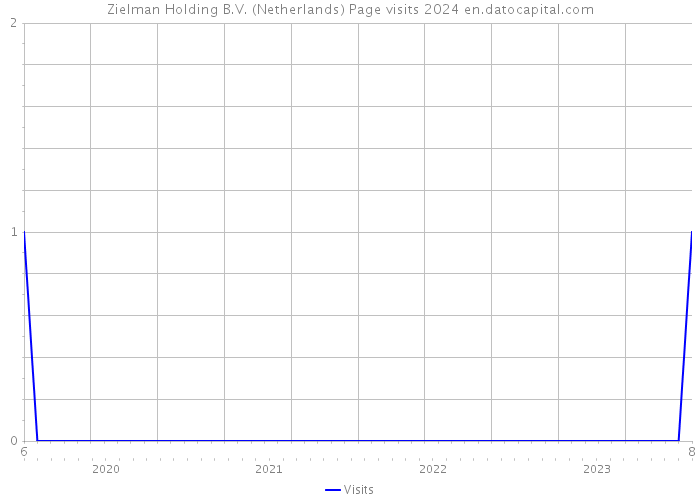 Zielman Holding B.V. (Netherlands) Page visits 2024 