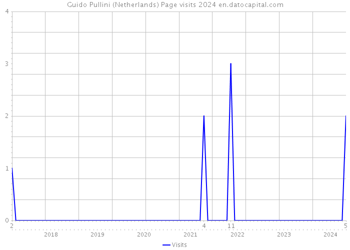 Guido Pullini (Netherlands) Page visits 2024 