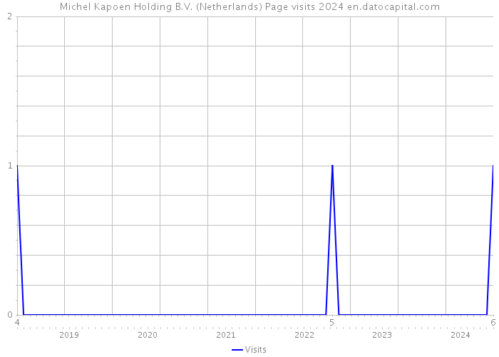 Michel Kapoen Holding B.V. (Netherlands) Page visits 2024 