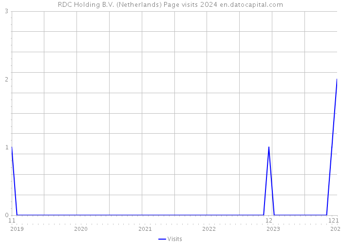 RDC Holding B.V. (Netherlands) Page visits 2024 