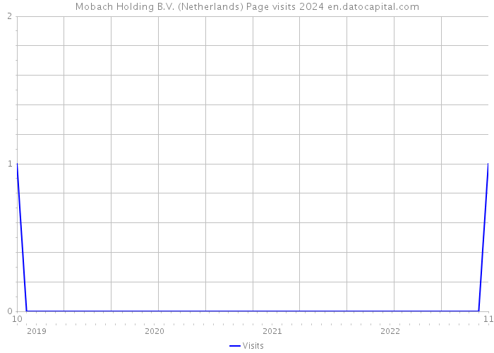 Mobach Holding B.V. (Netherlands) Page visits 2024 