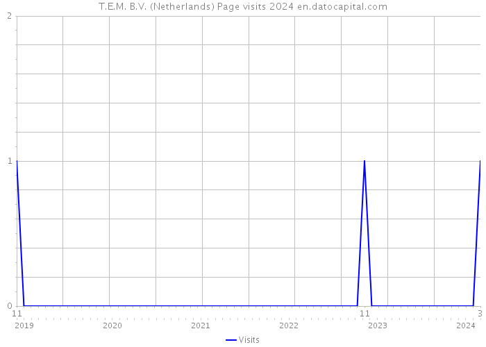 T.E.M. B.V. (Netherlands) Page visits 2024 