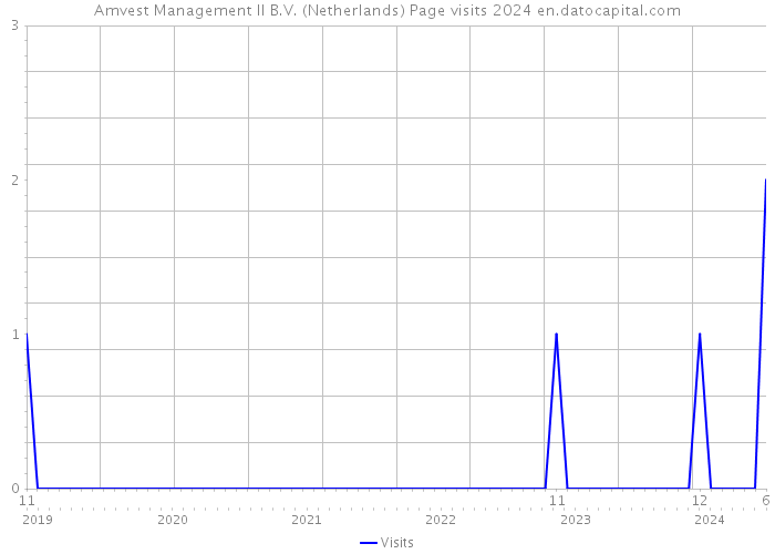Amvest Management II B.V. (Netherlands) Page visits 2024 